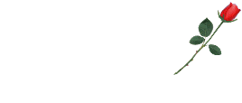 3ff3e696a4_222132_o2