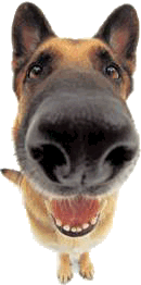 58374-avatar-file-no-300x%5B1%5D.igallery