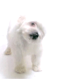 398d38379b_9302519_o2