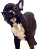 b42b2fb5cf_9302509_o2