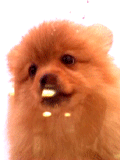 e294c66466_9302524_o2