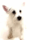e827ca759d_9302632_o2