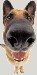 58374-avatar-file-no-300x%5B1%5D.igallery