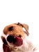 f234285bbb_9302513_o2